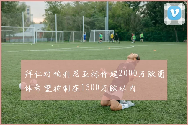 拜仁对帕利尼亚标价超2000万欧葡体希望控制在1500万欧以内