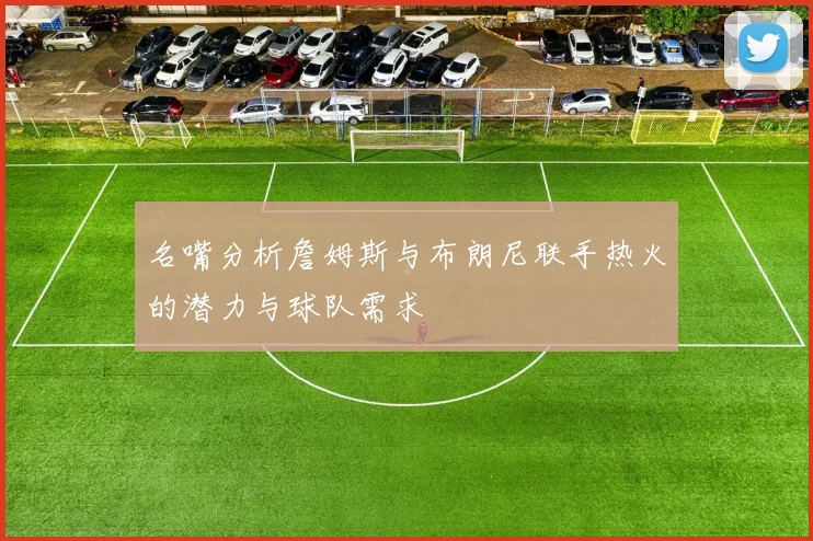 名嘴分析詹姆斯与布朗尼联手热火的潜力与球队需求