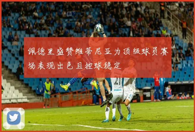 佩德里盛赞维蒂尼亚为顶级球员赛场表现出色且控球稳定
